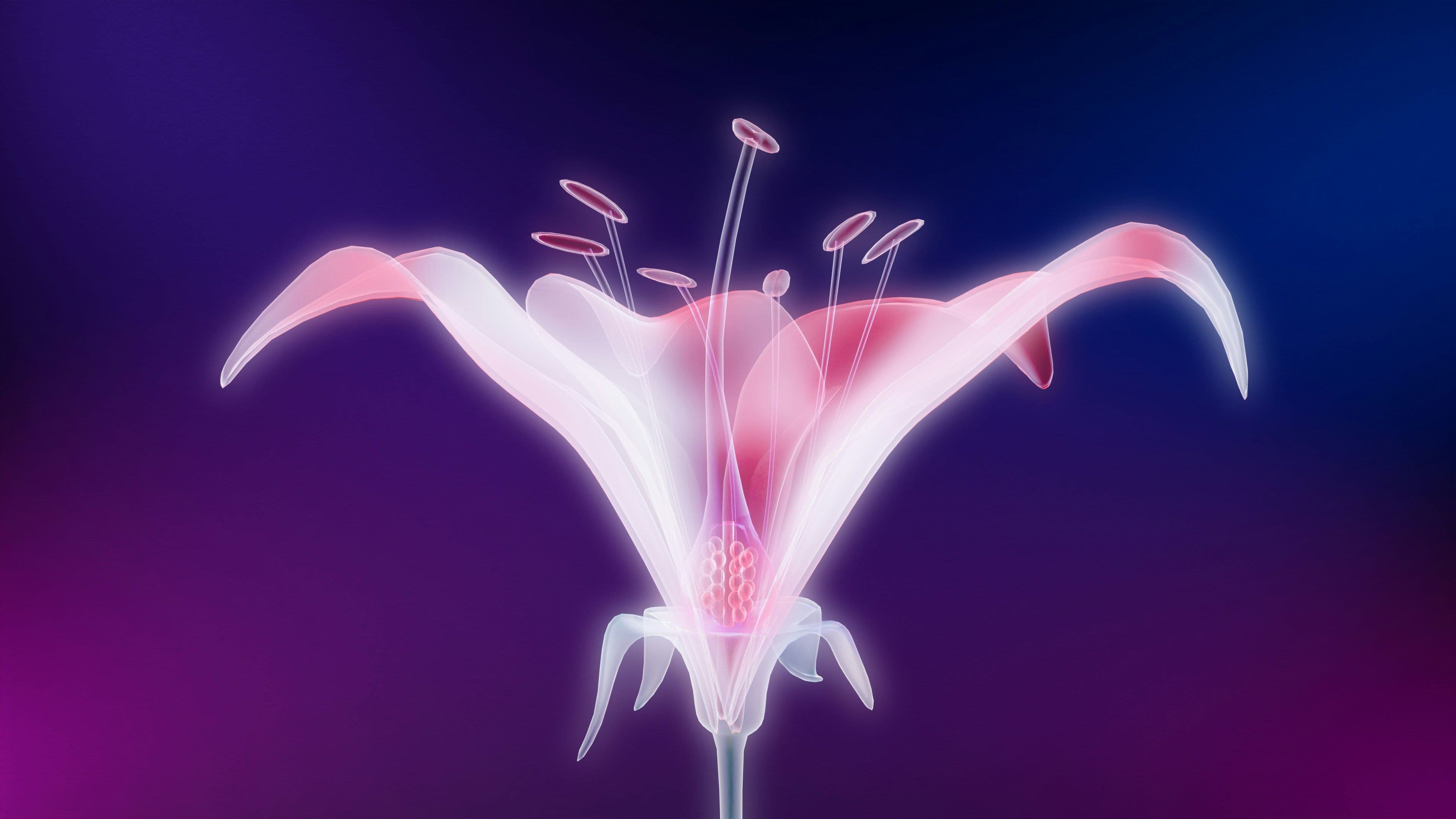 Bacterial Vaginosis (BV): Causes, Symptoms, and What It Means for Your Microbiome